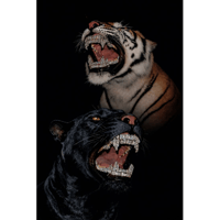 sticker image #24