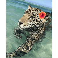 sticker image #27