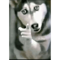 sticker image #5