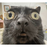 sticker image #27