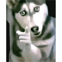 sticker image #21