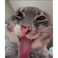 sticker image #4