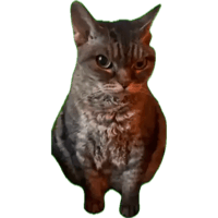 sticker image #19