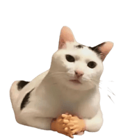 sticker image #8