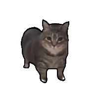 sticker image #15