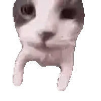 sticker image #9