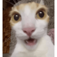 sticker image #18