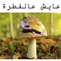 sticker image #27
