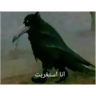 tray_icon