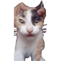 sticker image #26