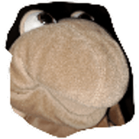 tray_icon
