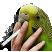 sticker image #26