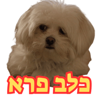 sticker image #1
