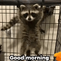 sticker image #30