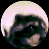 sticker image #22