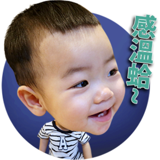 Sticker Maker - Tsai Gray’s 100 Facial Expressions