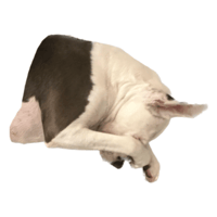 sticker image #25