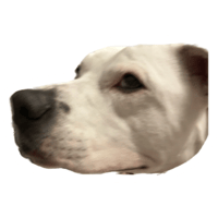 sticker image #26