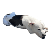 sticker image #21