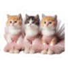 tray_icon #105462 sticker_pack