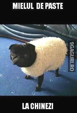 tray_icon #28280 sticker_pack