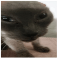 sticker image #16