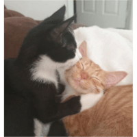 sticker image #30