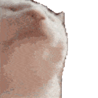 sticker image #3