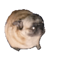 sticker image #19