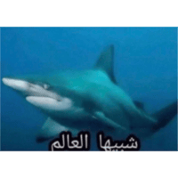 sticker image #29