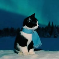 sticker image #22
