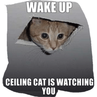 sticker image #14