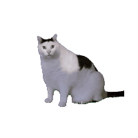 sticker image #17