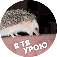 sticker image #11