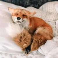 sticker image #14