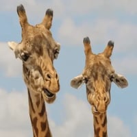 sticker image #22