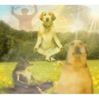 sticker image #10
