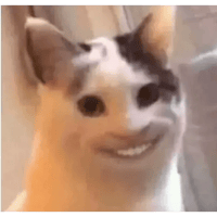 sticker image #16