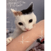 sticker image #14