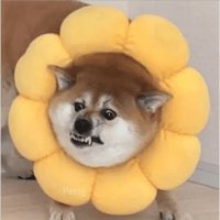 sticker image #24