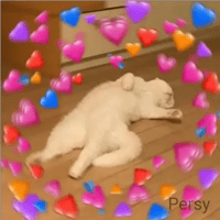 sticker image #25
