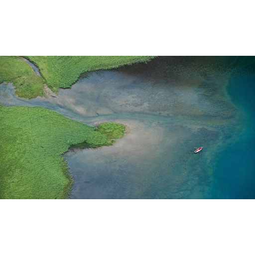 tray_icon #91469 sticker_pack