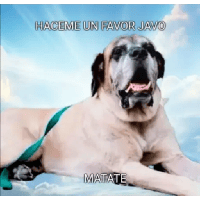 sticker image #11