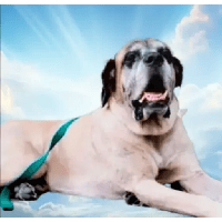 sticker image #12