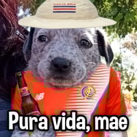 sticker image #4