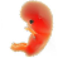 sticker image #1