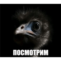 sticker image #23