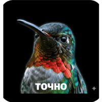 sticker image #25