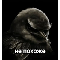 sticker image #1