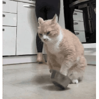 sticker image #21